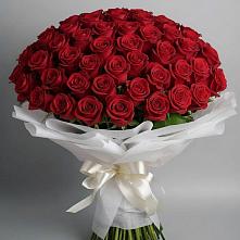 Букет 101 Красная роза Блэк Мэджик в Борозде