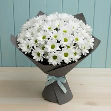 Букет цветов из:  Хризантемы #REPLACE_PRED# Борозде
