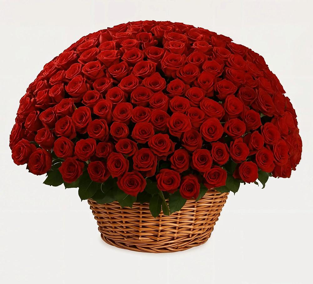 Премиум букет из: Розы в Борозде