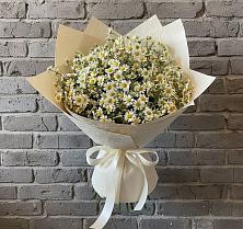 Букет цветов из:  Ромашки #REPLACE_PRED# Борозде