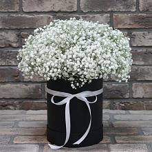 Цветочная композиция из Гипсофила в шляпной коробке в Борозде