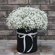 Цветочная композиция из Гипсофила в шляпной коробке в Борозде